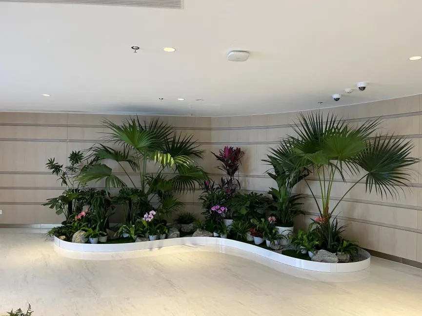 走进宁波前湾盆景租赁设计，邂逅美好景致